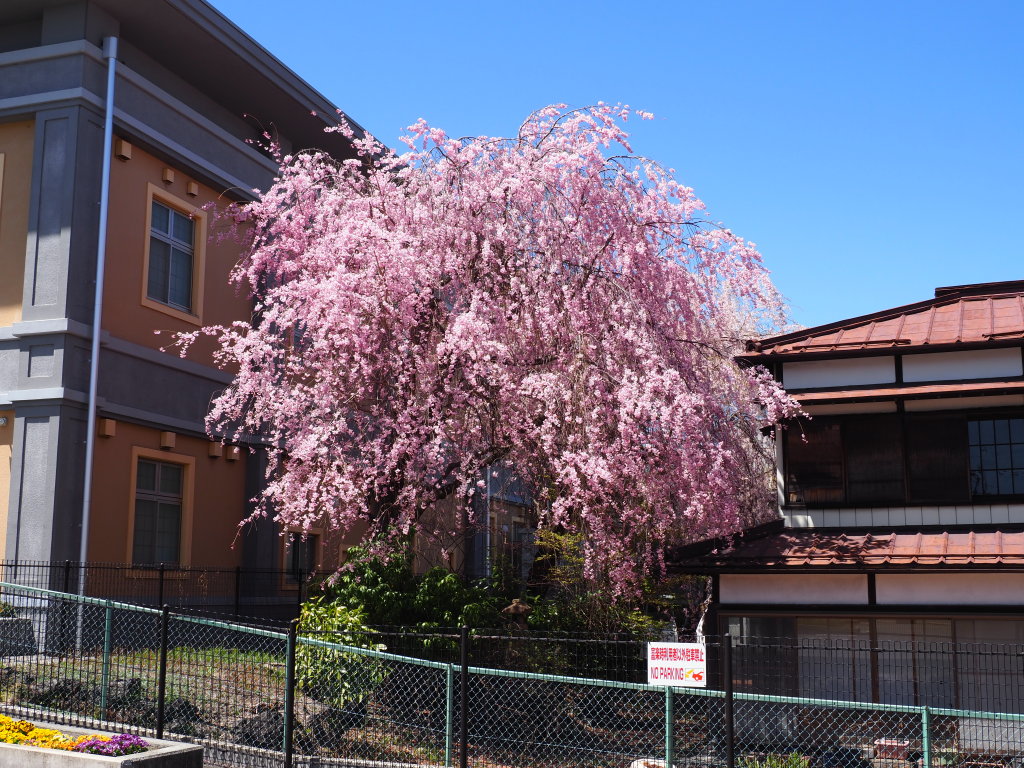 4/16 ����������J