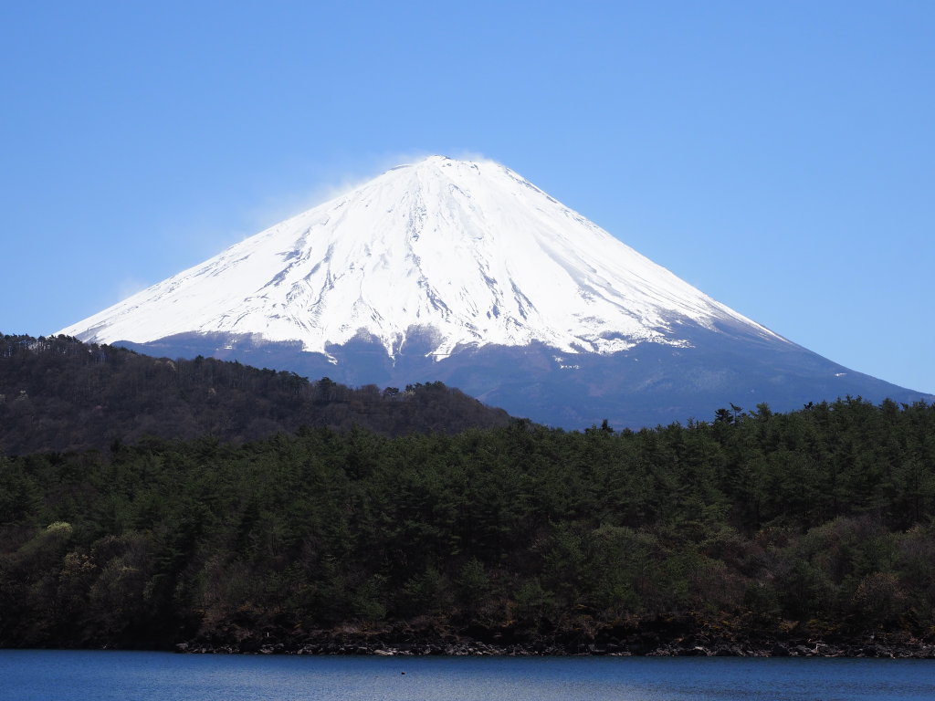 4/16 ���΂���̕x�m�R