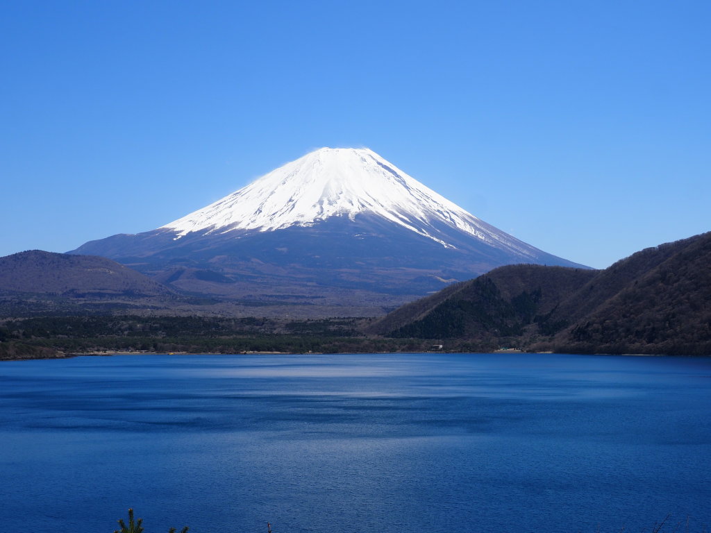 4/16 �{���΂���̕x�m�R