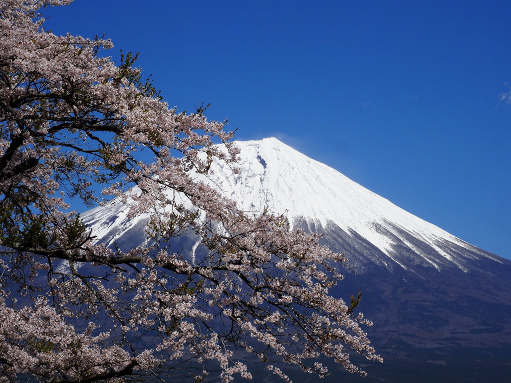 4/16 �c�ьΎO��(2)