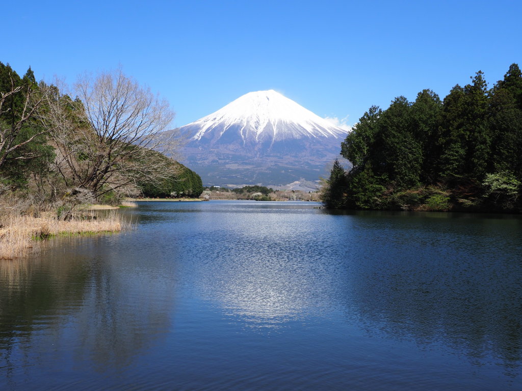 4/16 �c�ьΎO��(3)