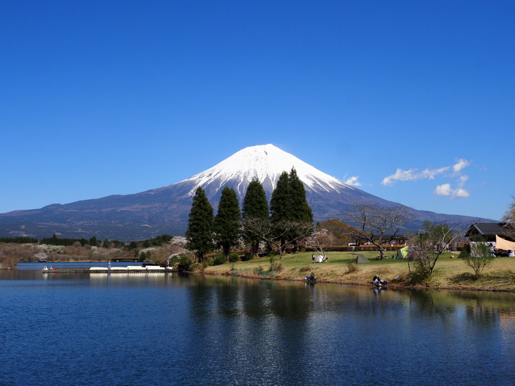 4/16 �c�ьΎO��(5)