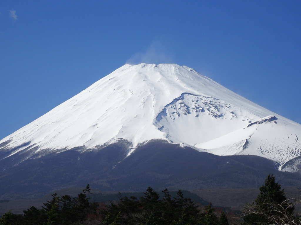 4/16 �z�O�x����̕x�m�R