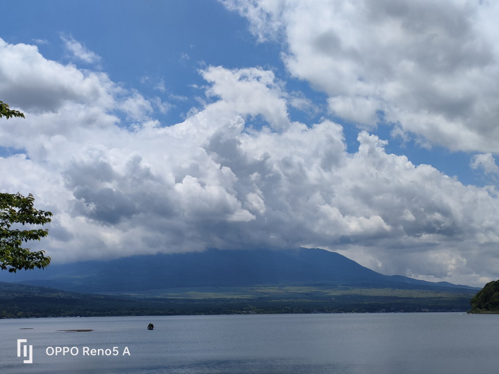 5/28 �_�L����