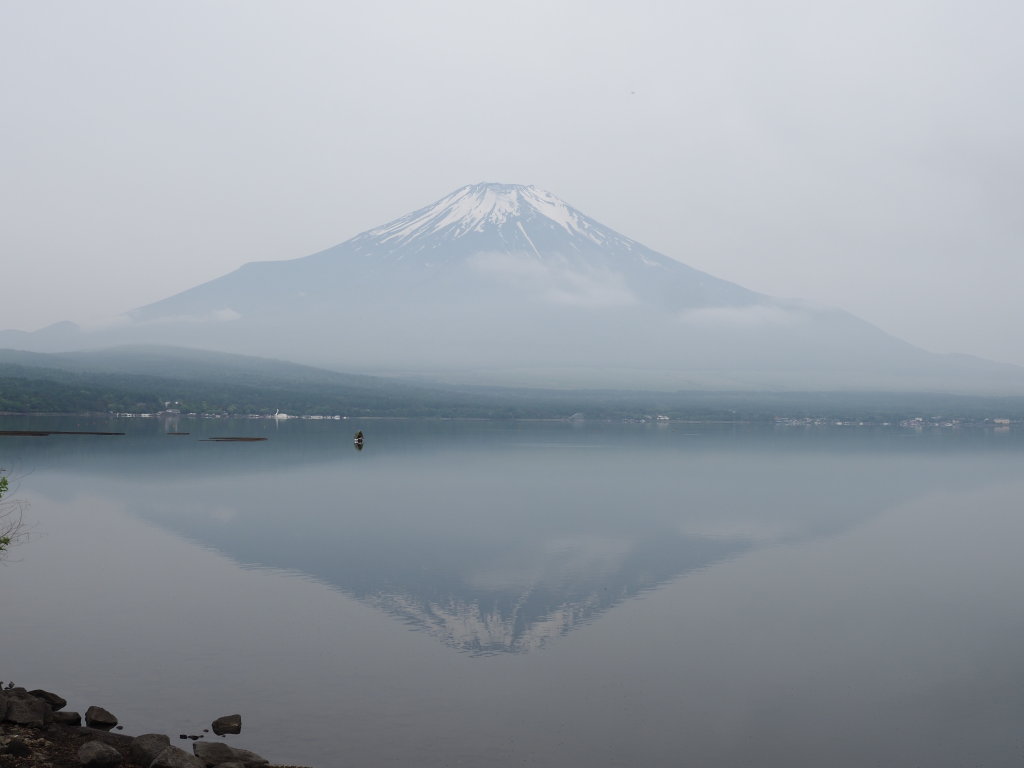 5/29 �Ԃ݂̂Ȃ��x�m�R