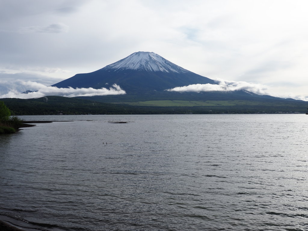 5/31 �J������