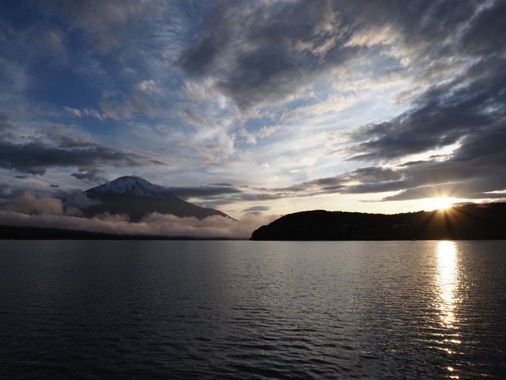 5/31 ���̓���̕x�m�R