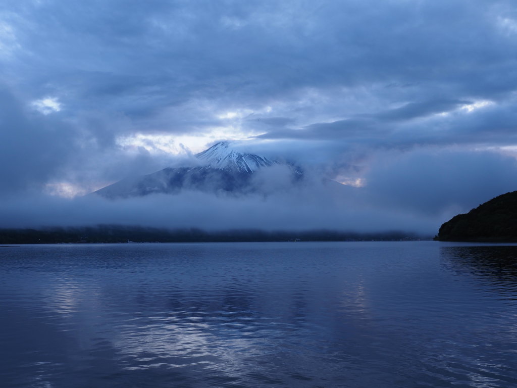 5/31 �[�Ă��̕x�m�R