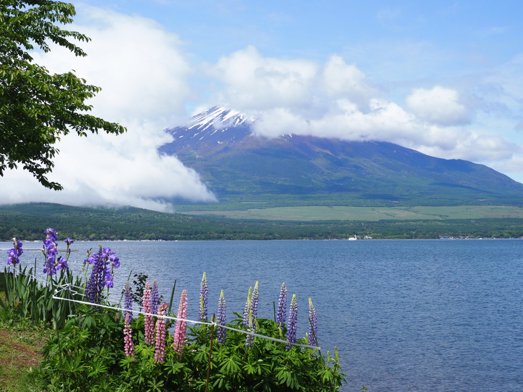 6/1 ���s�i�X���J