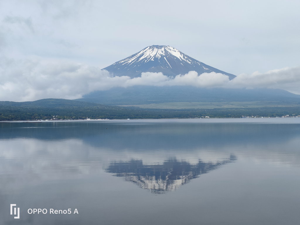 6/2 ��u�̕x�m�R