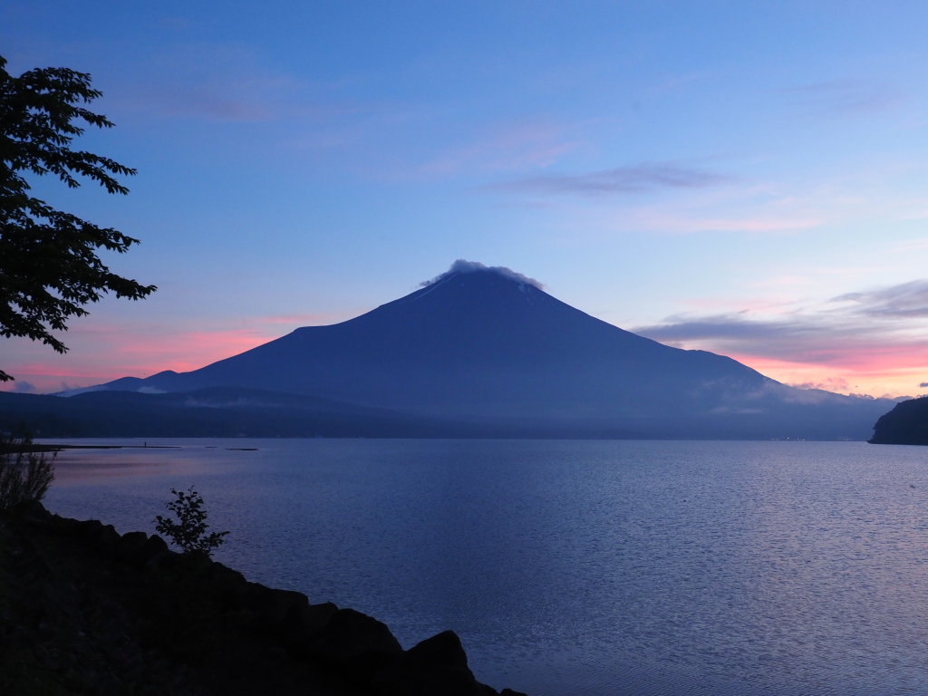 6/16 �[�Ă��̕x�m�R