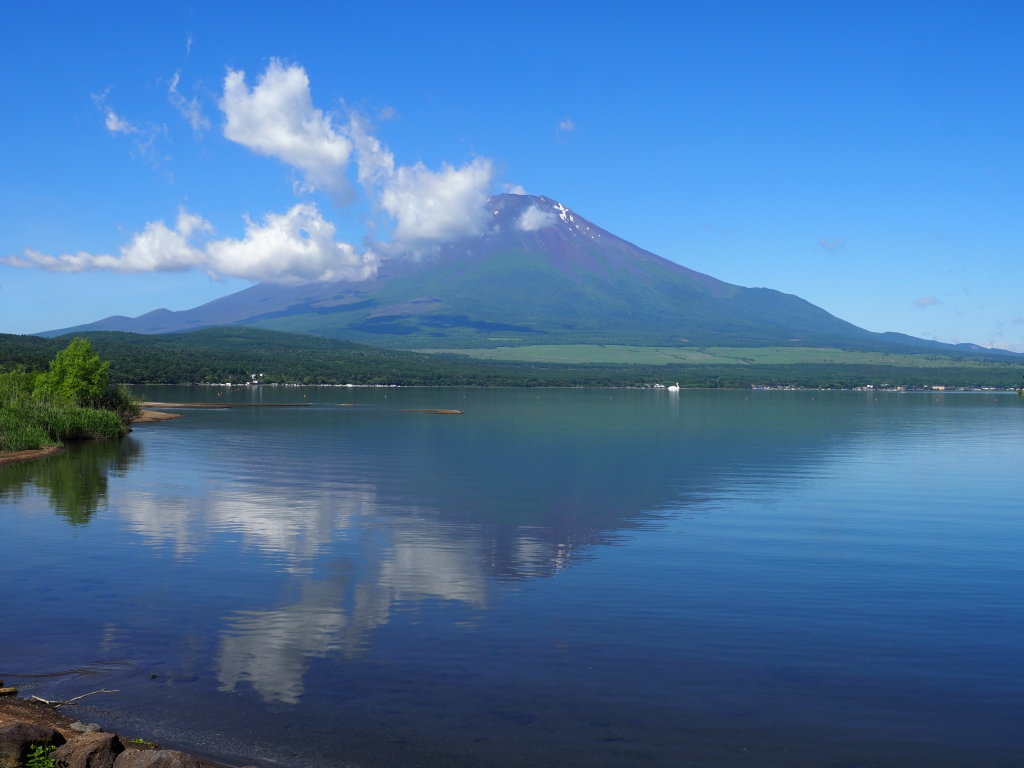 6/17 ��̕x�m�R