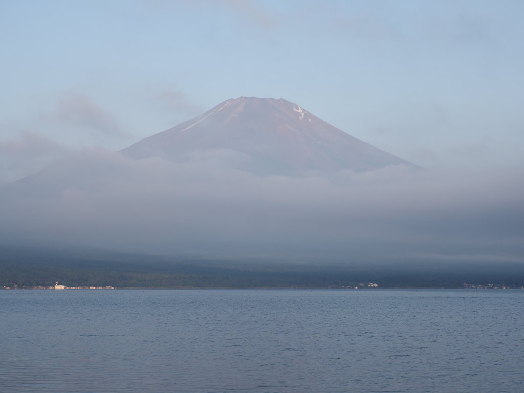 6/20 ��u�̕x�m�R