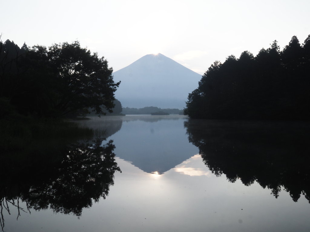 8/19 �c�ь΂���̃_�C�������h�x�m