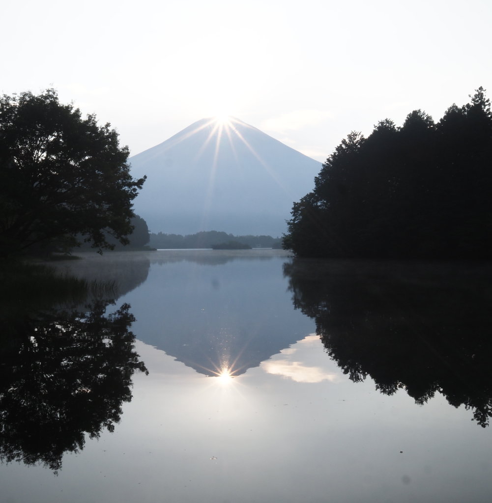 8/19 �c�ь΂���̃_�C�������h�x�m