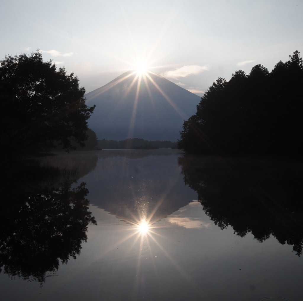 8/19 �c�ь΂���̃_�C�������h�x�m