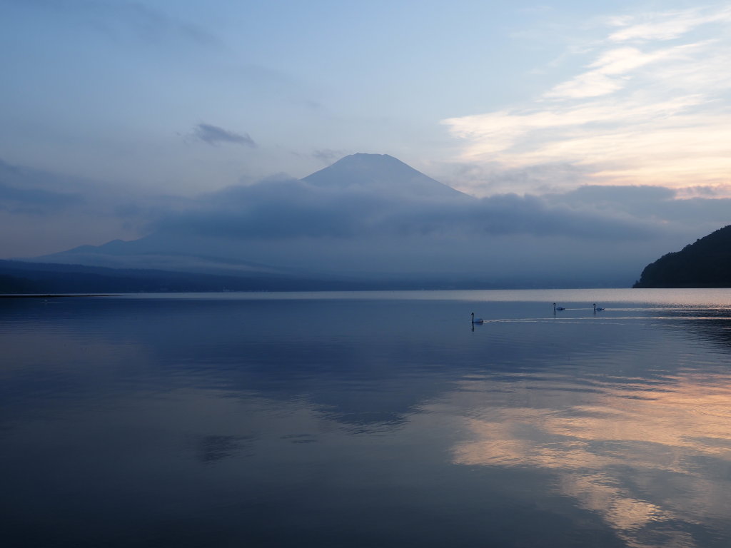 9/9 �[�Ă��̕x�m�R