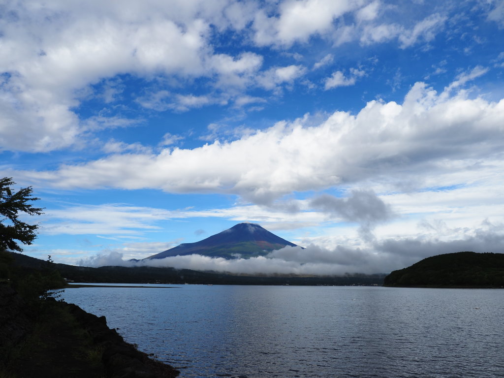 9/11 �`�̂����_