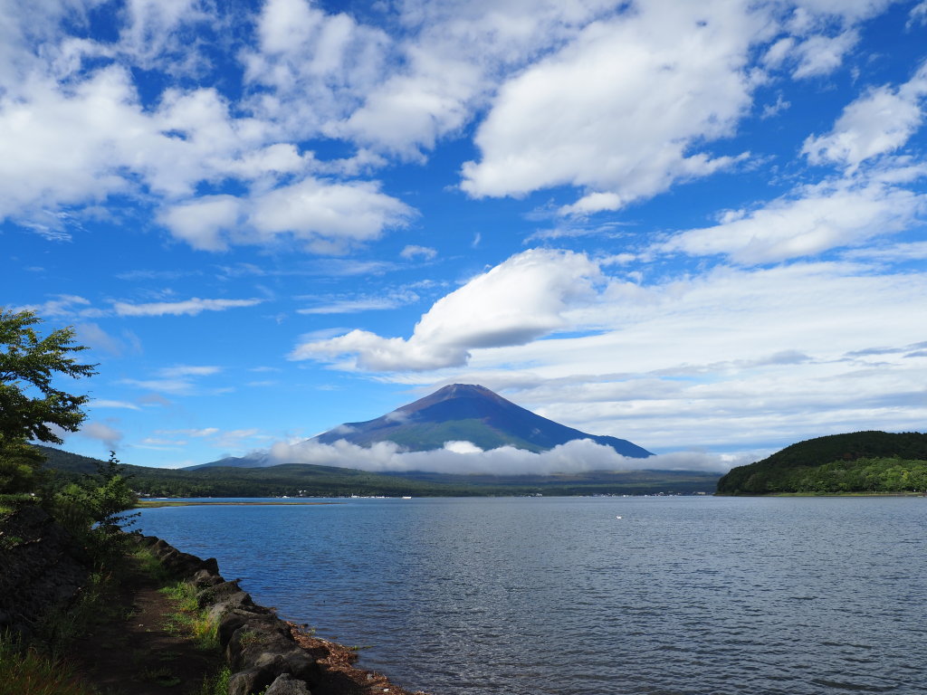 9/11 �݂邵�_������