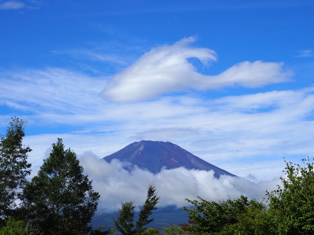 9/11 �����܂�