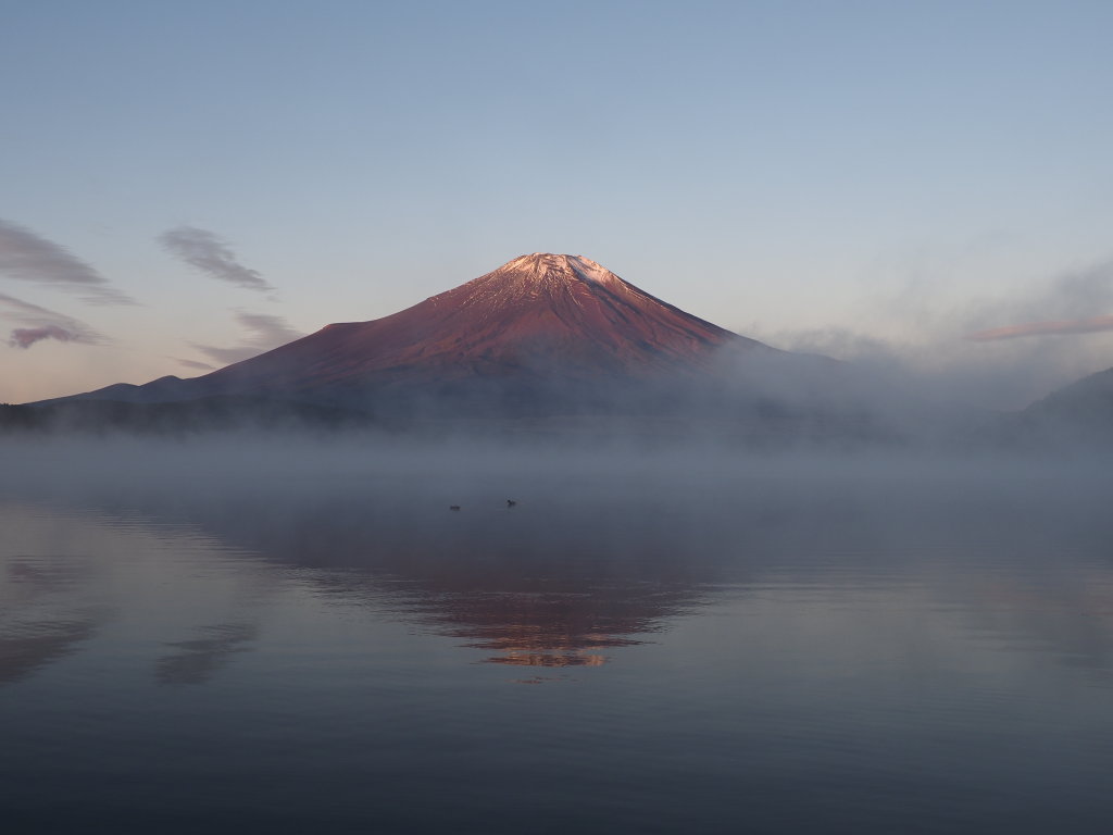 10/28 ���Ă��̋t���x�m