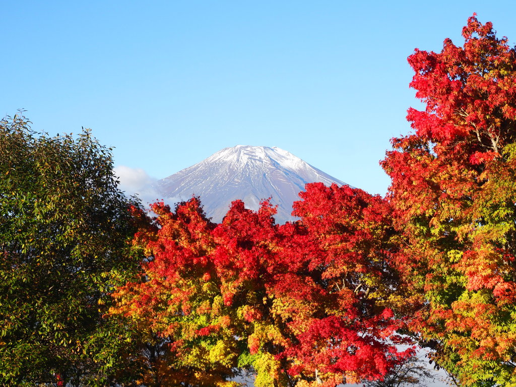 10/28 ���J�̍g�t�ƕx�m�R