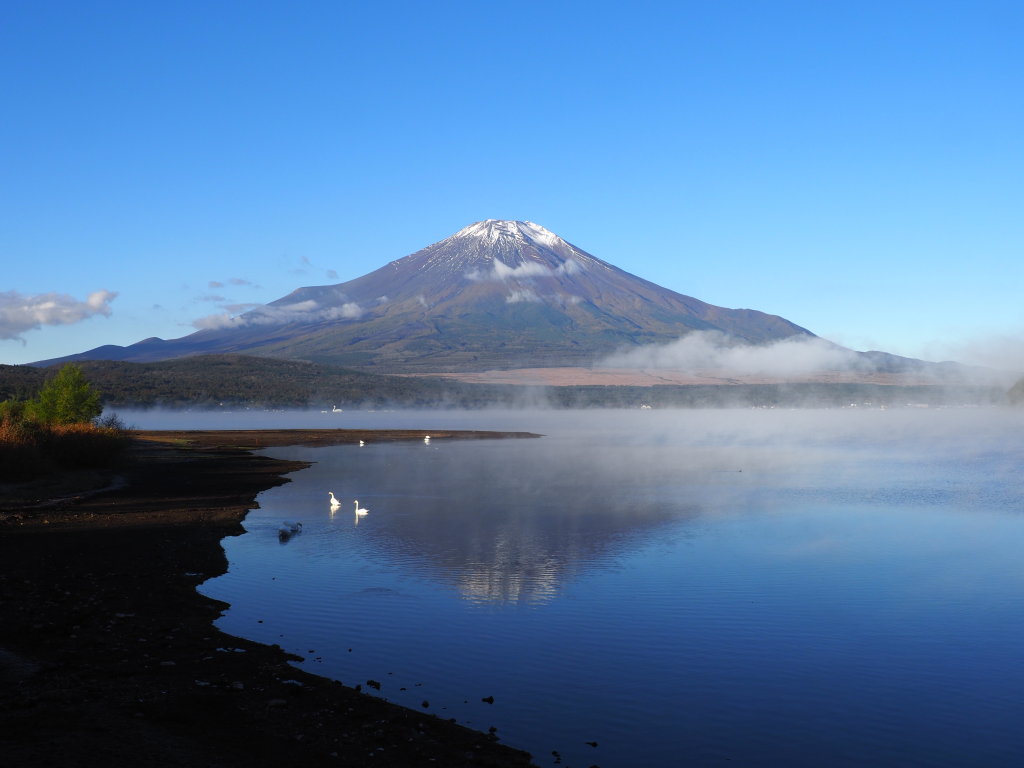 10/28 �U���̓r��