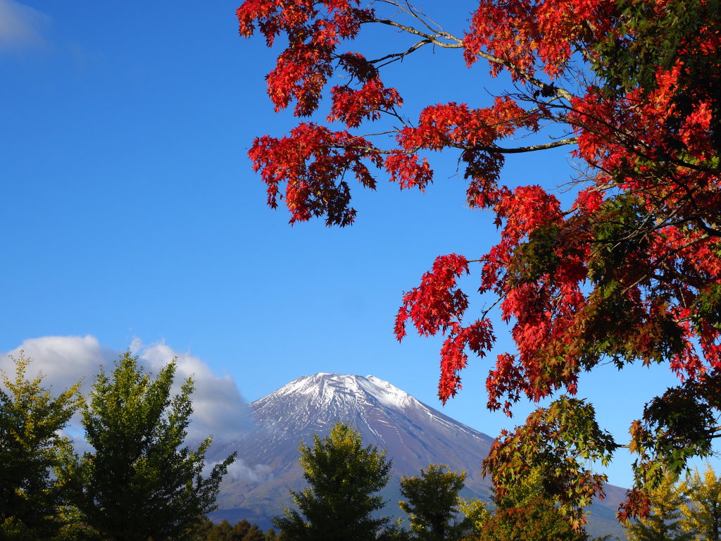 10/28 ��x�삩��̍g�t