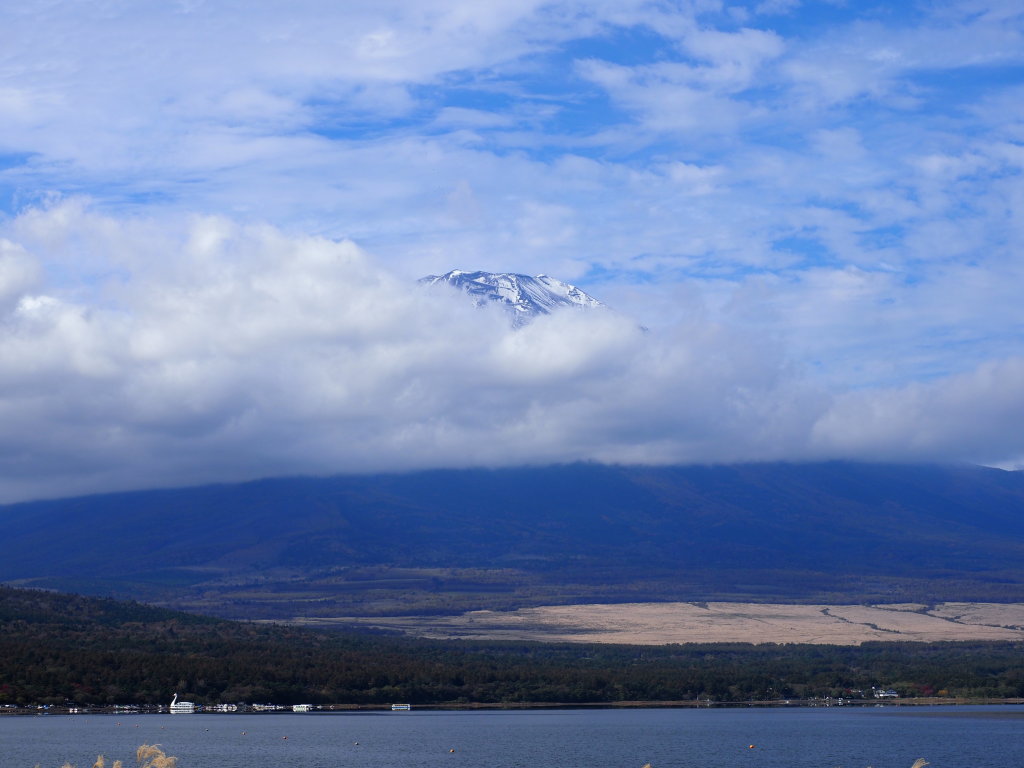 10/29 �����n�߂�