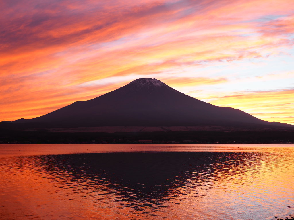 �[�Ă��̋t���x�m(OLYMPUS E=M1�U)