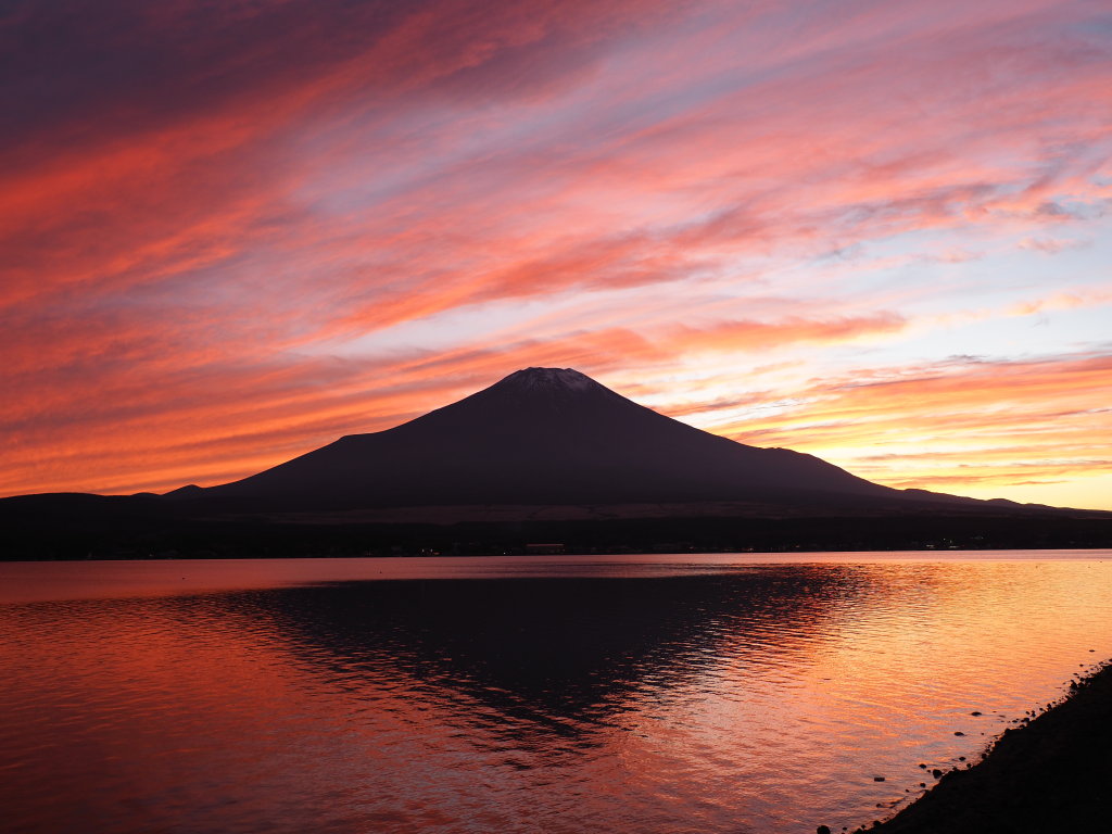 10/29 �[�Ă����Ă�