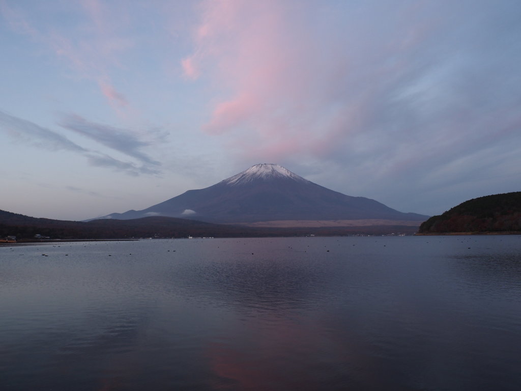 11/18 ���Ă�