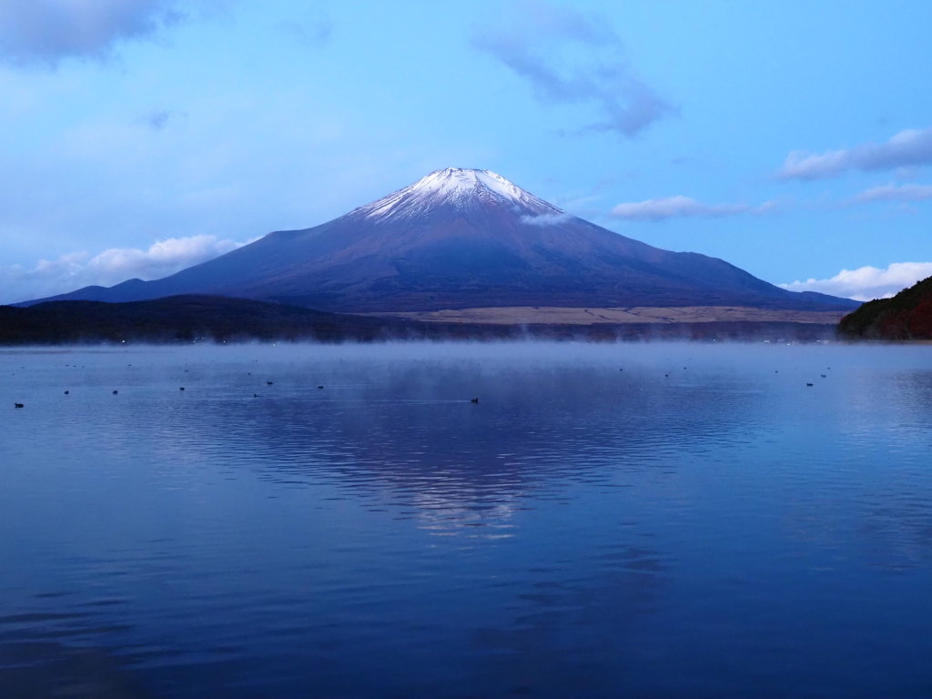 11/19 �ї��N��