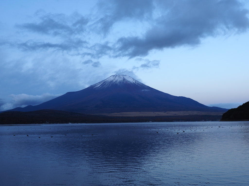 11/19 �x�����Ă�