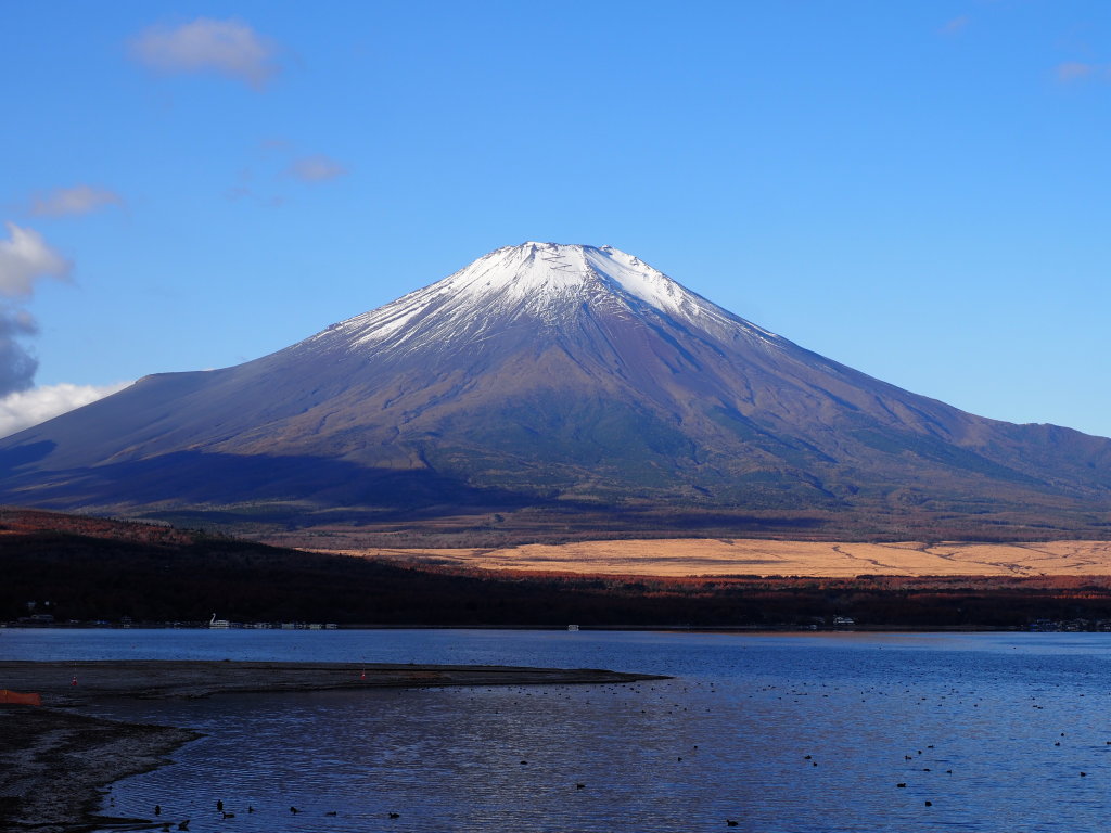 11/19 ���̌�_�̒�