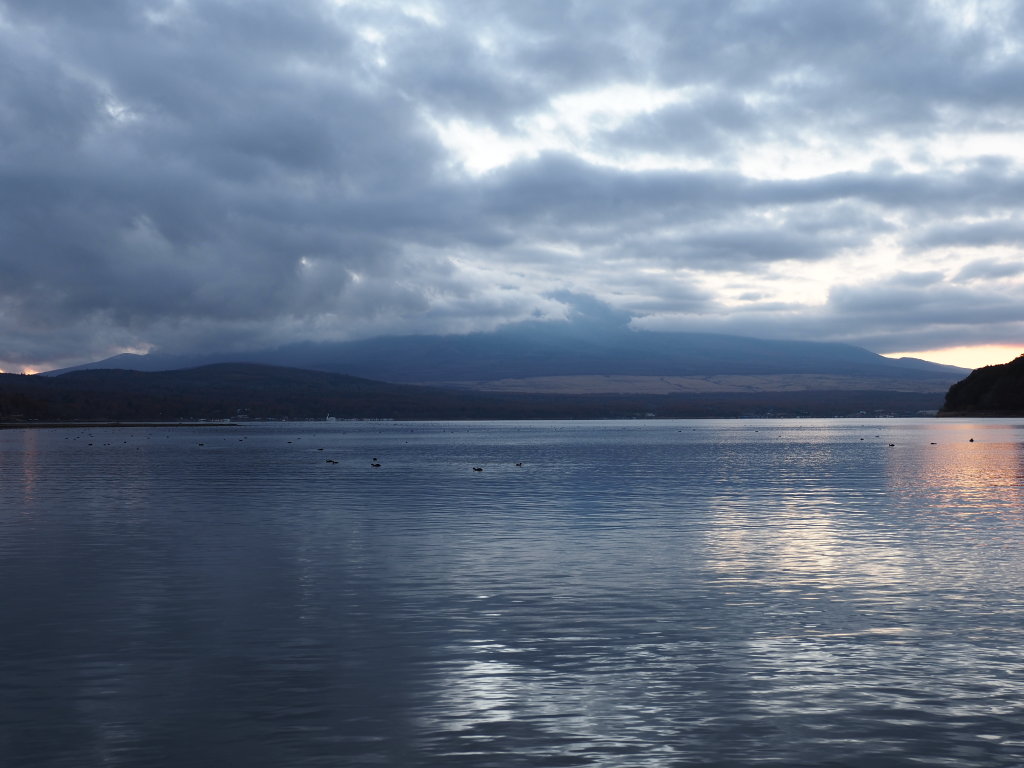 11/20 �_�̒��̕x�m�R