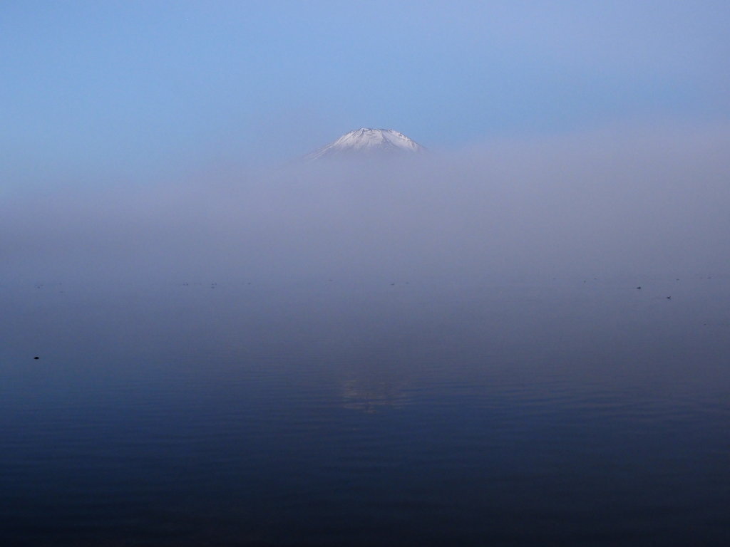 11/21 �K�X�Ō�����