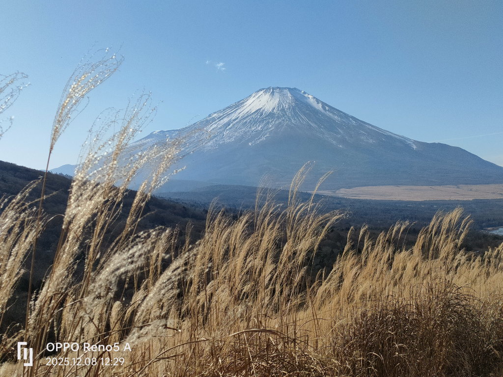 12/8 �p�m���}�䂩��x�m�R