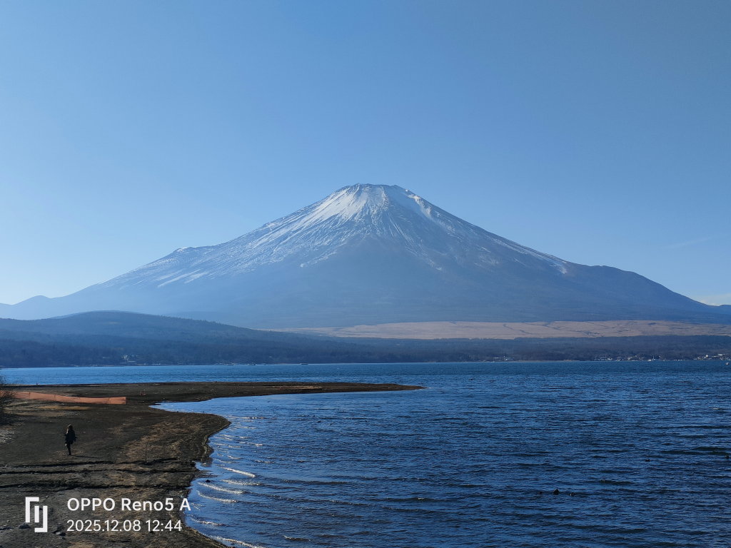 12/8 �L��������̕x�m�R