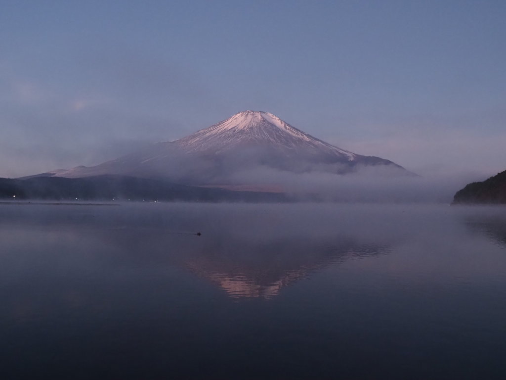 12/10 �ق�̂�g�x�m