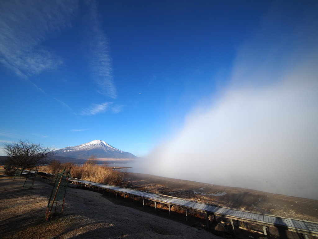 12/10 �������̕Е�