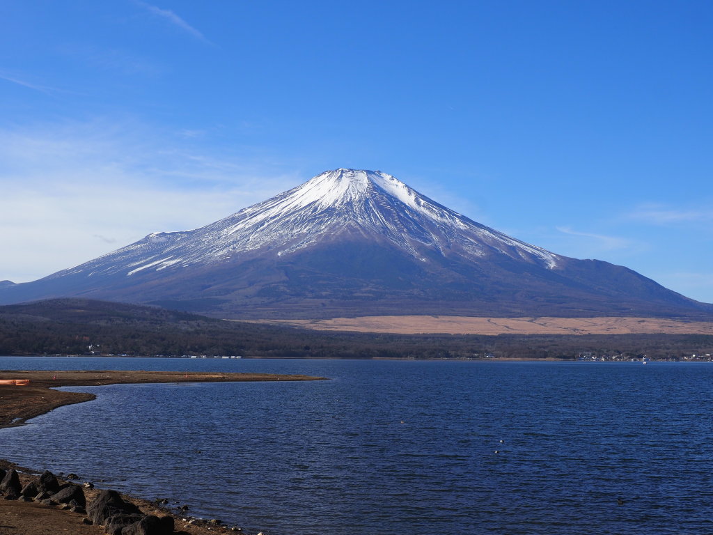 �s�[�J���̕x�m�R