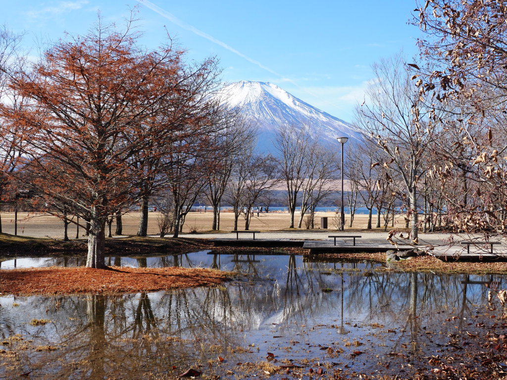 12/10 �ؓ�����̋t���x�m