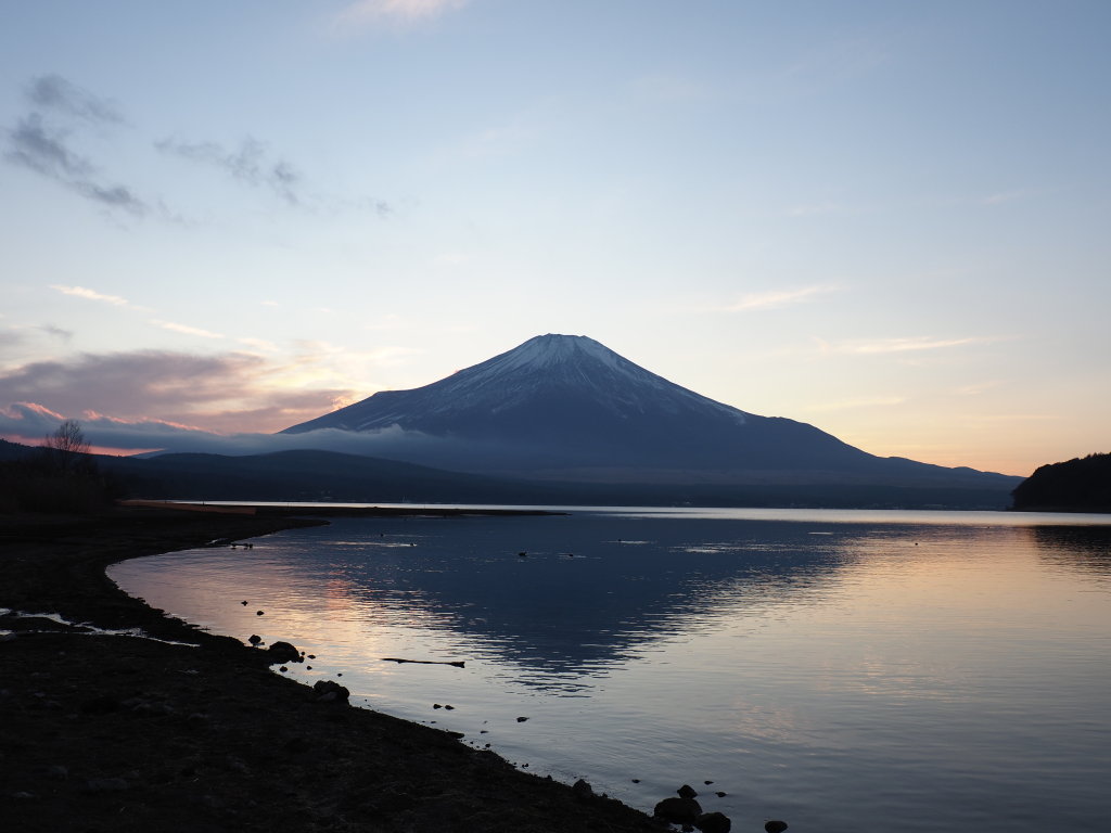 12/11 �[�Ă��̕x�m�R