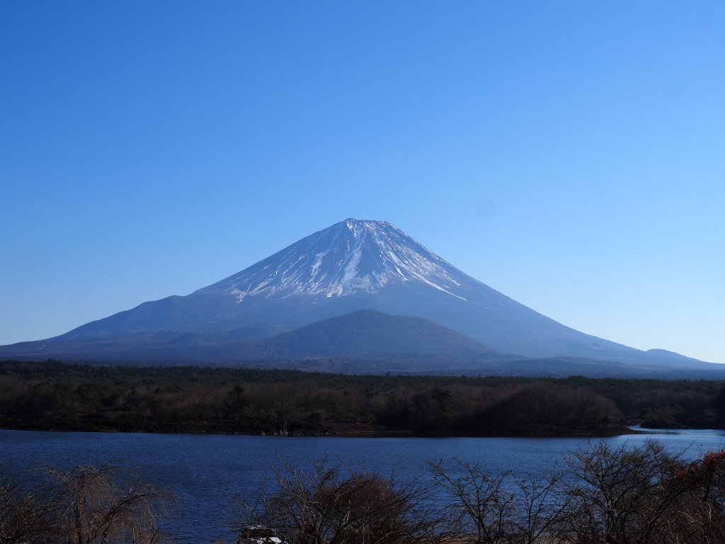 12/11 ���i�΂���̕x�m�R