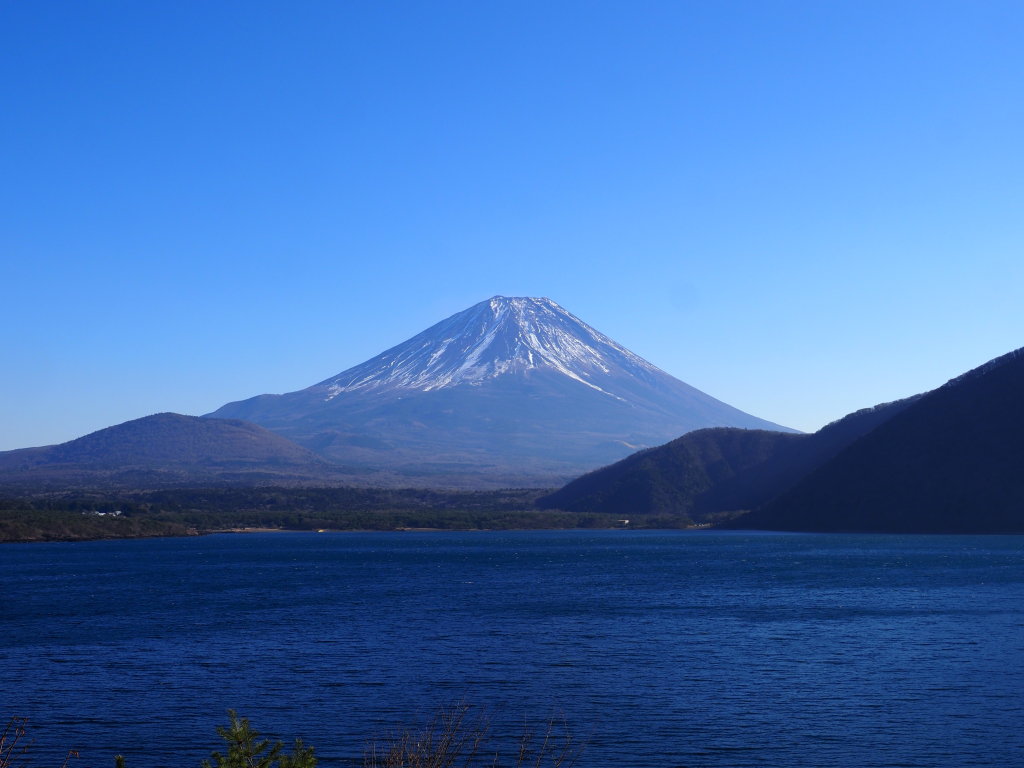 12/11 �{���΂���̕x�m�R