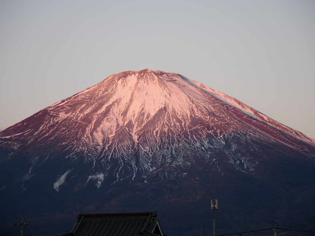 12/12 ���R����̒��Ă�