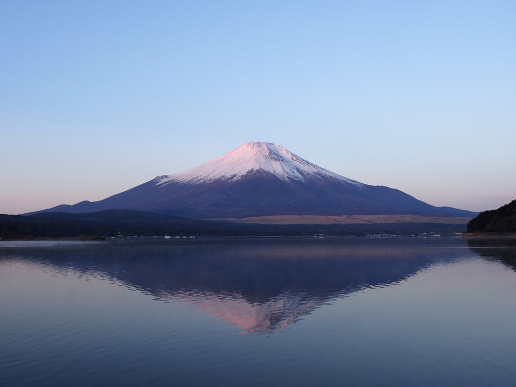 1/15 �t���g�x�m