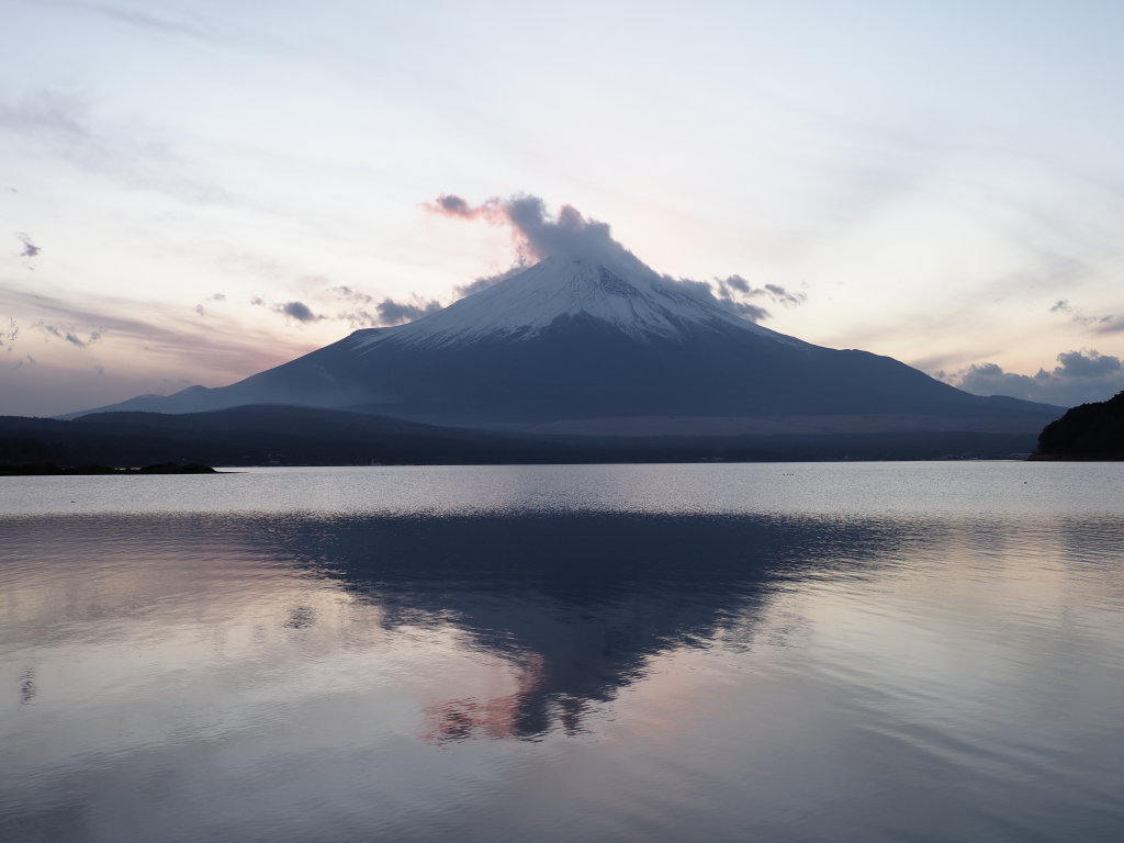 1/15 �[�Ă��̕x�m�R