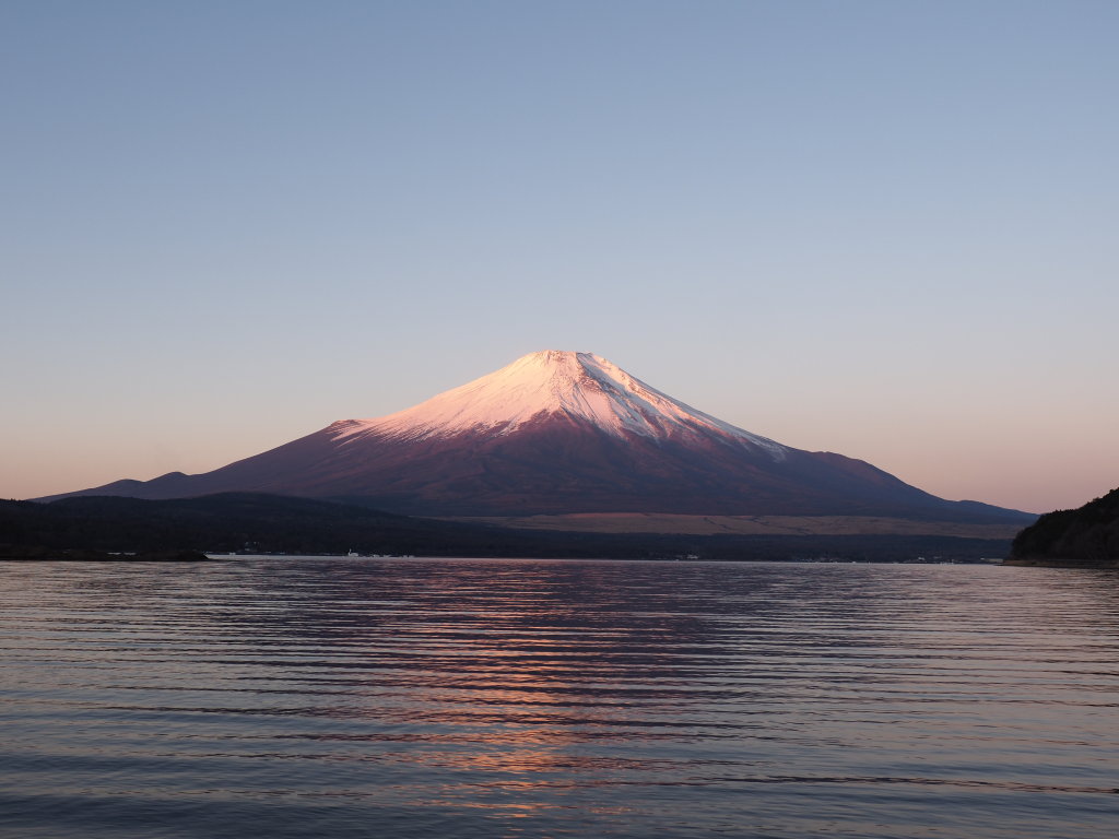 �I�����W�F�̒��Ă�(OLYMPUS E=M1�U)